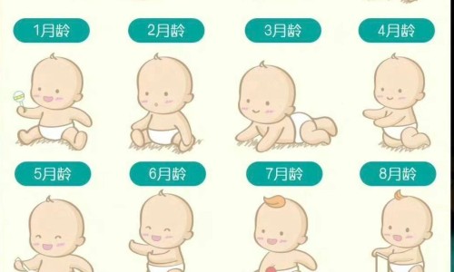 天津格林国际幼儿园学费-【天津格林国际幼儿园学费】人体结构几何体速写 - 脸上T字部位过敏图片网