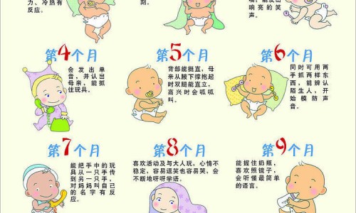 天津格林国际幼儿园学费-【天津格林国际幼儿园学费】人体结构几何体速写 - 脸上T字部位过敏图片网